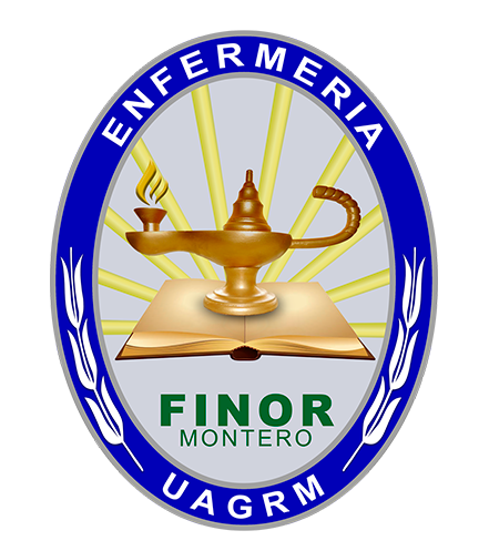 Escudo de Enfermería